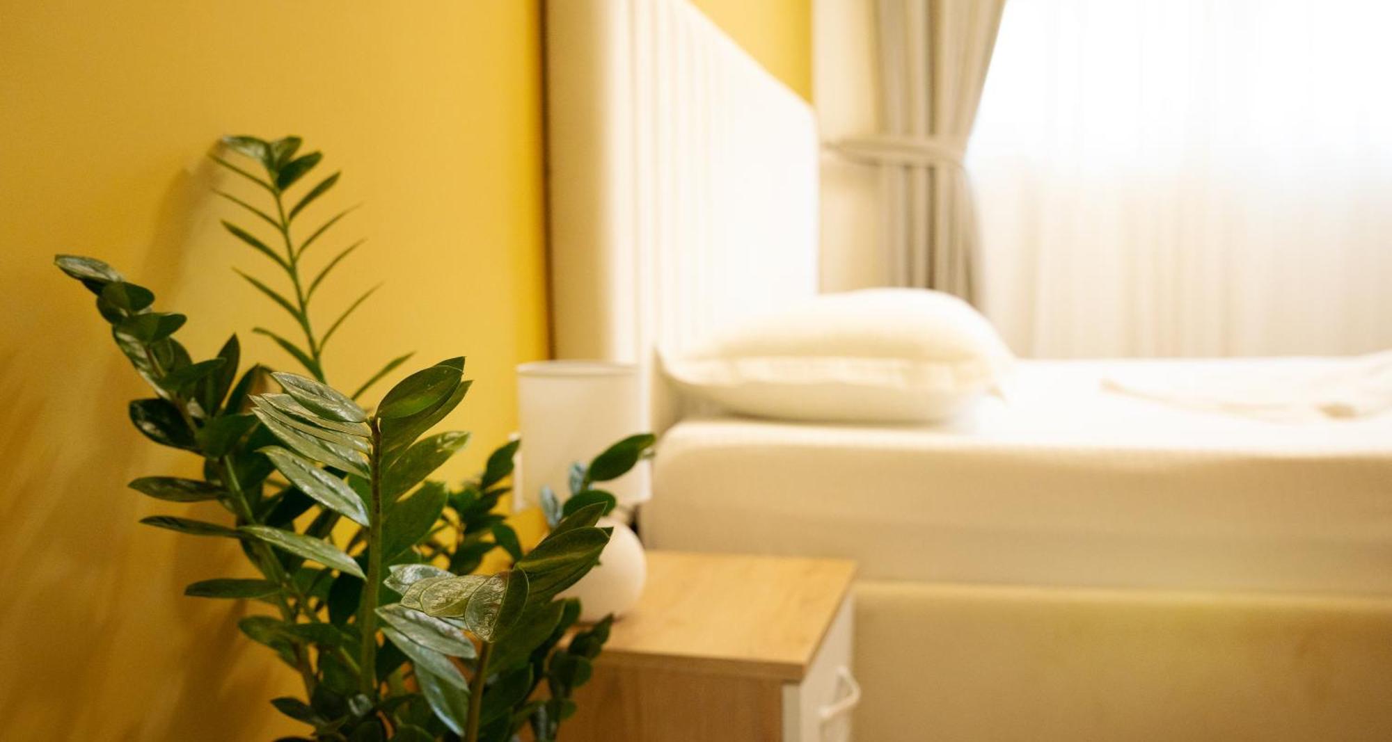 Hotel Luris 格勒姆 外观 照片
